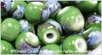 Porcelain Beads - Green