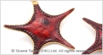 Starfish Pendants