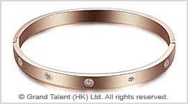 Titanium Stainless Steel Crystal Bangle