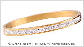 Titanium Stainless Steel Crystal Bangle