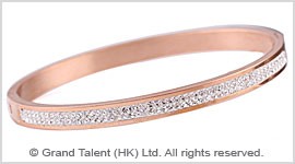 Titanium Stainless Steel Crystal Bangle