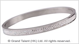 Titanium Stainless Steel Crystal Bangle