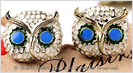 Crystal Owl Enamel Stud Earrings