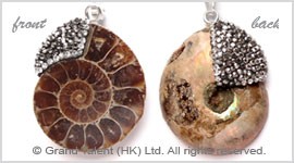 Fossil Ammonite Pendant