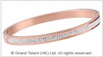 Titanium Stainless Steel Crystal Bangle