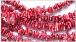 Magenta Bamboo Coral