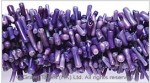 Purple Bamboo Coral