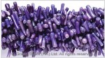 Purple Bamboo Coral