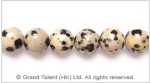 Dalmatian Jasper