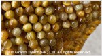 Gold Tigereye