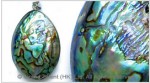 Paua Shell Pendant