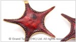 Natural Red Starfish Pendant