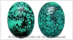 Greenish Blue Turquoise Cabochon