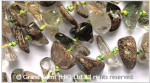 Green Lodalite Quartz