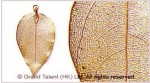 Real Elm Leaf Pendant