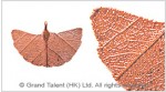 Real Ginkgo Leaf Pendant