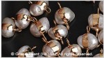 Pearl Charms