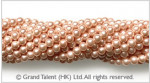 Shell Pearl